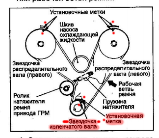 зв.jpg