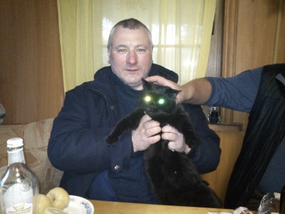 кот Убийца