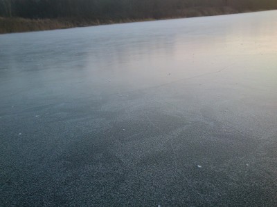 DSC_0658.JPG