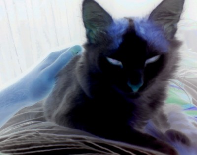 IMAG0653.jpg
