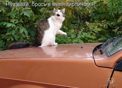 getImage.jpeg