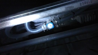 IMAG0796.jpg