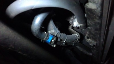 IMAG0807.jpg