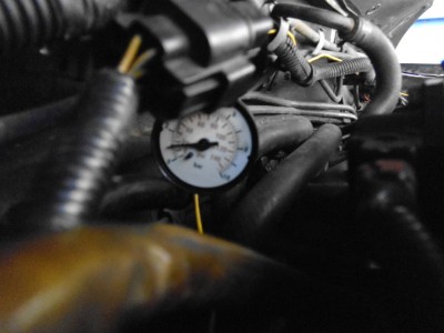 P1000257.JPG