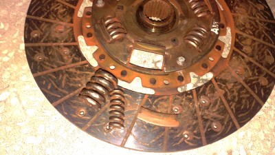 IMAG0522.jpg