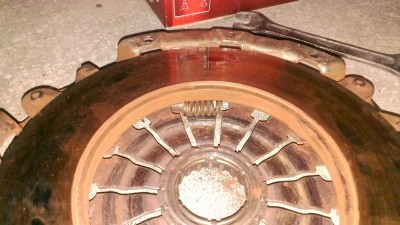 IMAG0521.jpg