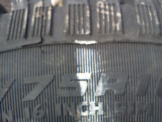 IMG887.jpg