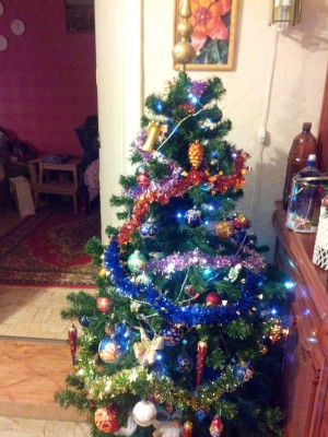 IMG_20141231_215148.jpg