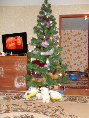 DSCN0639.JPG