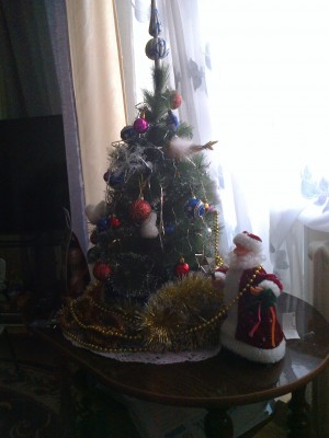 Новый 2015г..jpg