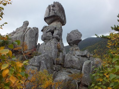 DSCF9525.jpg