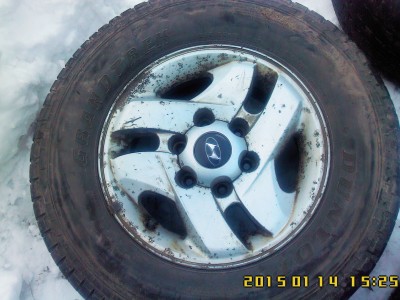 IMG10029.jpg