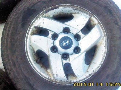 IMG10031.jpg