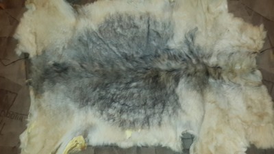 20150121_205842.jpg