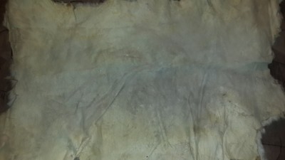20150121_205918.jpg