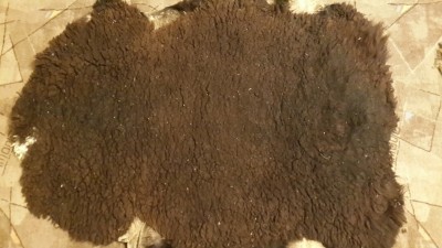 20150121_210123.jpg