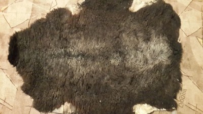 20150121_210329.jpg