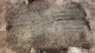 20150121_210400.jpg