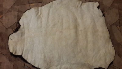 20150121_210416.jpg