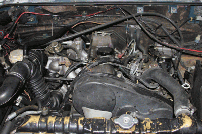 IMG_7233.gif