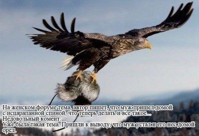 getImageатрпа.jpg