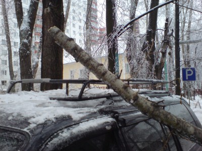 DSC01126.JPG