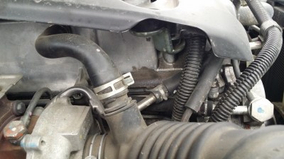 80deb7cs-960.jpg