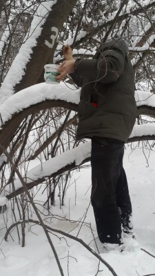 20150208_163352.jpg