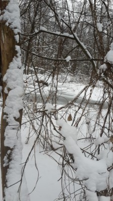 20150208_100848.jpg