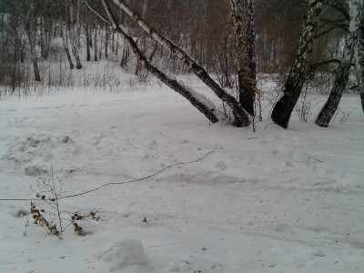 IMG_20150214_140318.jpg