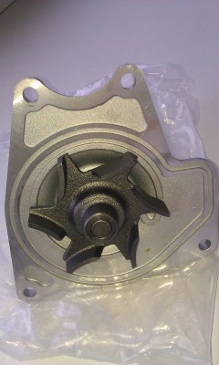 IMAG0061.jpg