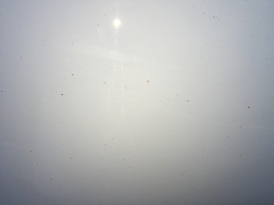 IMG_1668.JPG