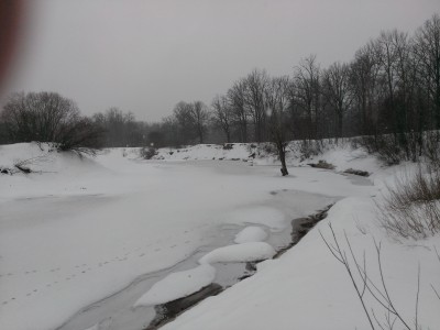 WP_20150223_004.jpg