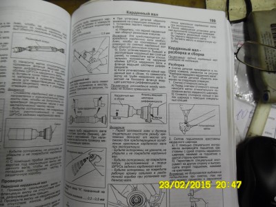 SAM_0230.JPG