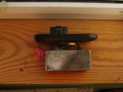 P2144148.JPG