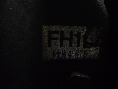 P1100743.JPG