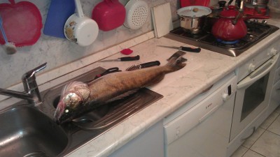 IMAG0259.jpg