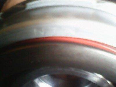 IMG0086A.jpg