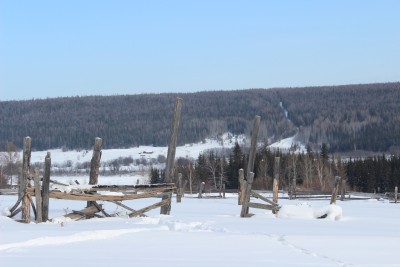 IMG_8148.jpg