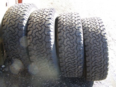 P3100050.JPG