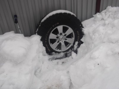 DSCF3365.JPG
