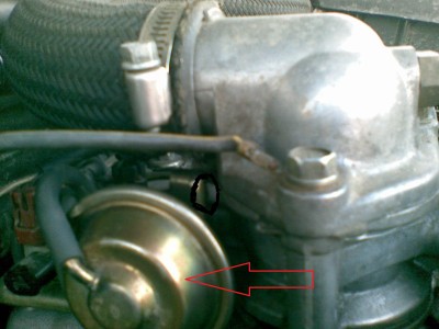 plate.JPG