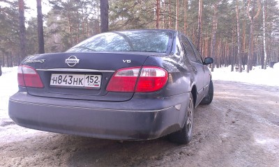 IMAG0080.jpg