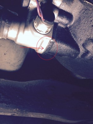 image-1.jpg