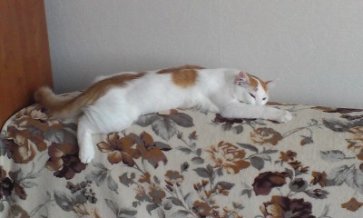 IMAG0684.jpg