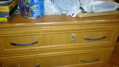 DSC_0181_новый размер.JPG