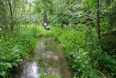 image_12_w.jpg