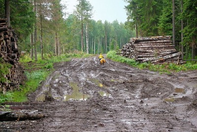 image_34_w.jpg