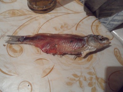 SAM_0465.JPG