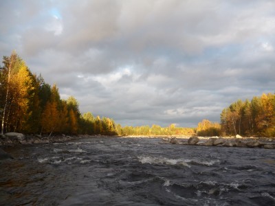 P1020637.JPG